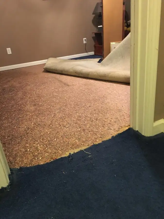 Carpet pad removal revealing water damage during Drying & Dehumidification in Cold Springs