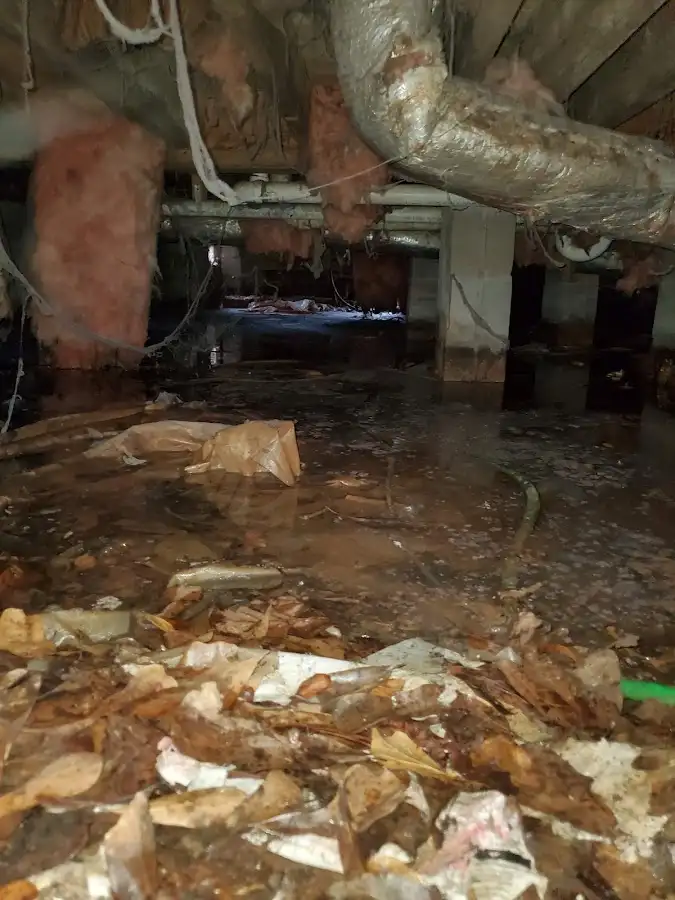Crawl space flood assessment for Commercial Water Damage Restoration in Cold Springs