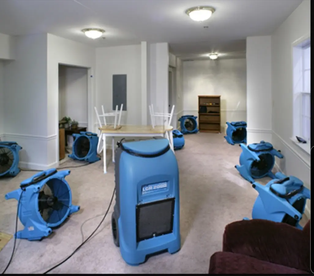 Air movers and dehumidifier setup for Water Extraction & Removal in Cold Springs