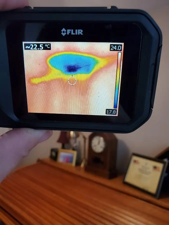 Thermal imaging inspection for water damage in Cold Springs