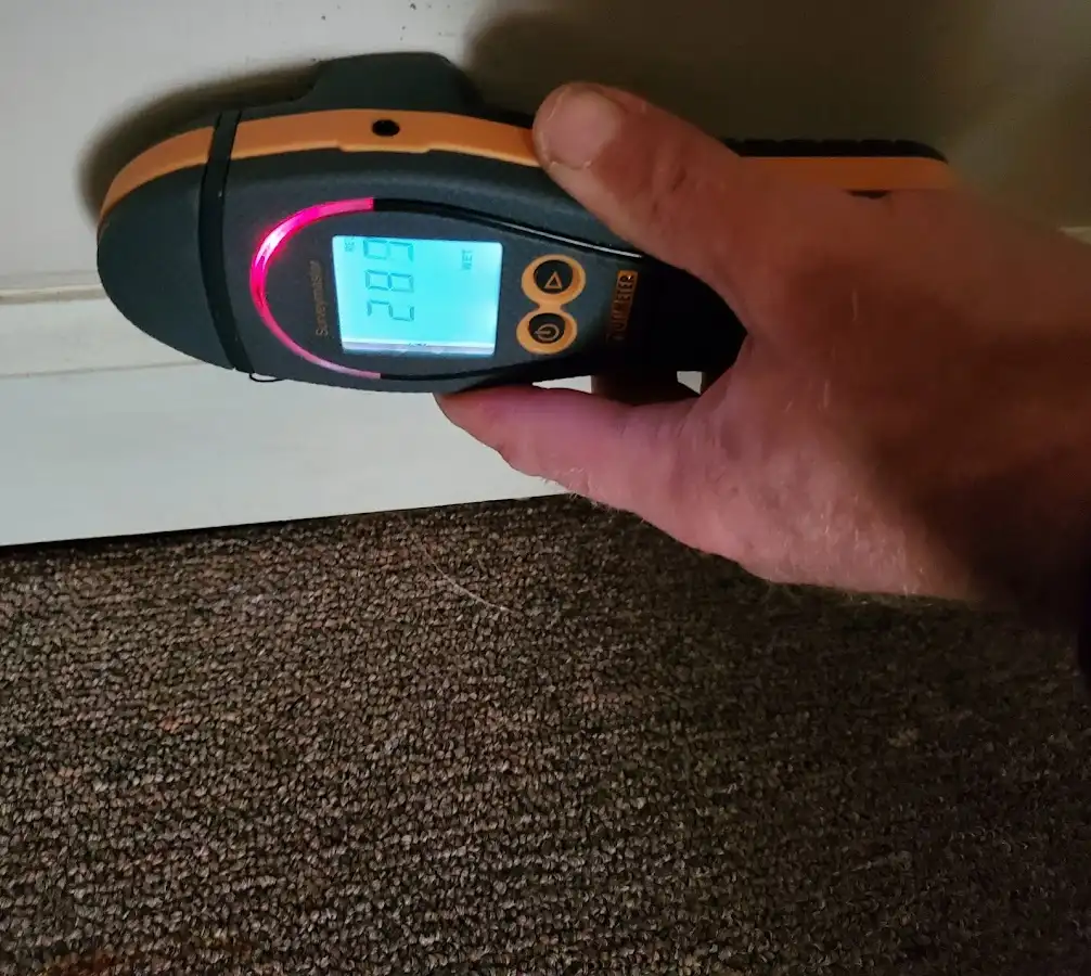 Moisture detection at baseboard during Mold Inspection & Testing in Cold Springs